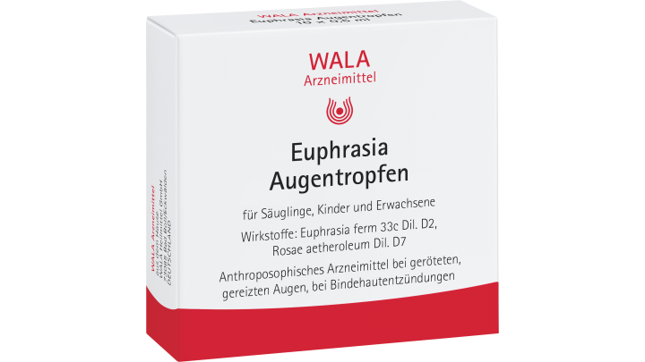 Euphrasia